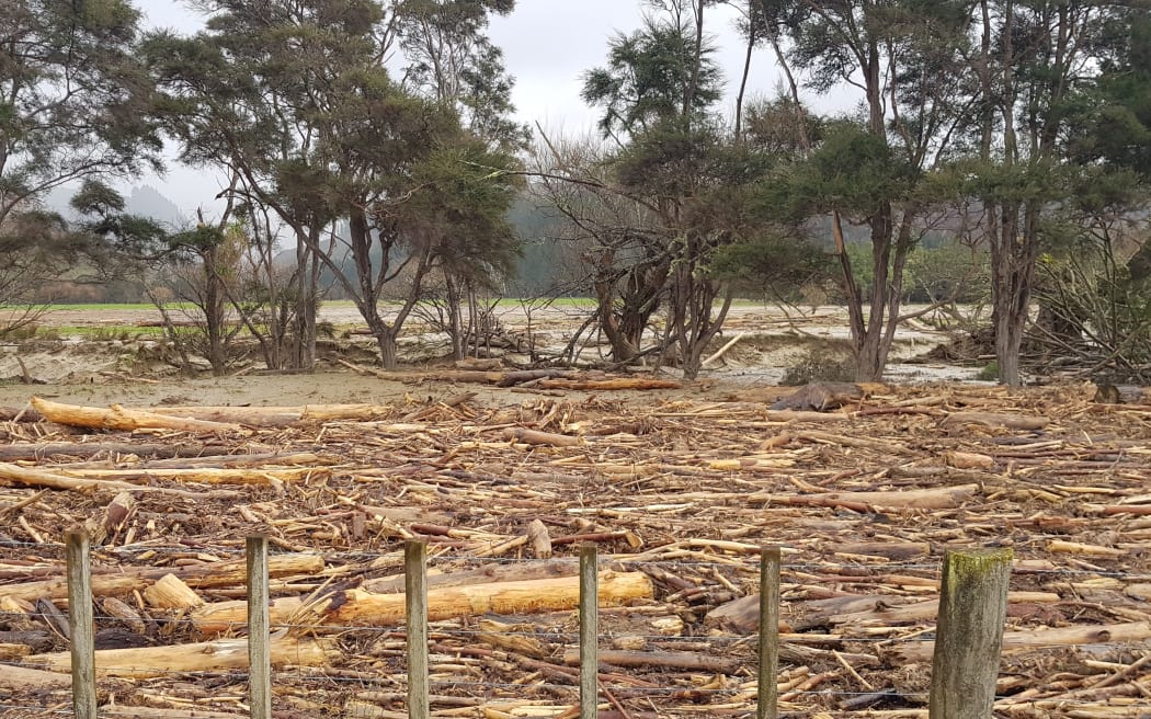 Slash debris after flooding in Tolaga Bay.
