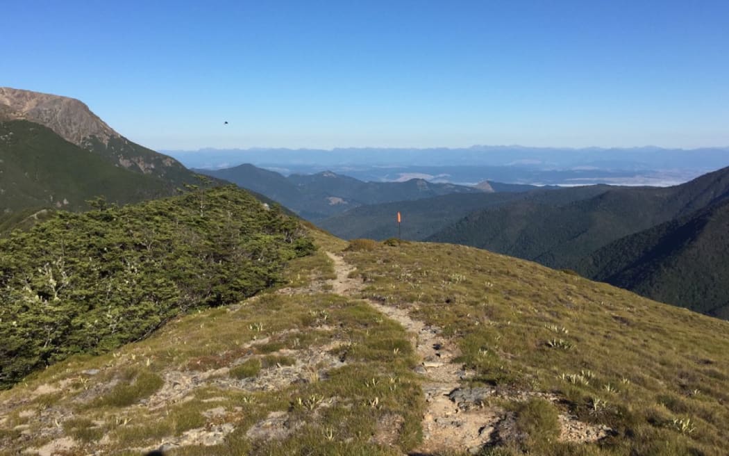 Te Araroa Trail.