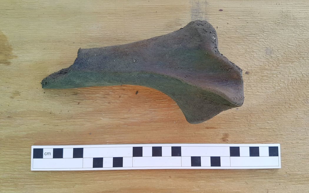 Moa bones discovered between the Manawatū and Hawke's Bay. During excavation work on the Te Ahu a Turanga: Manawatū Tararua Highway.
