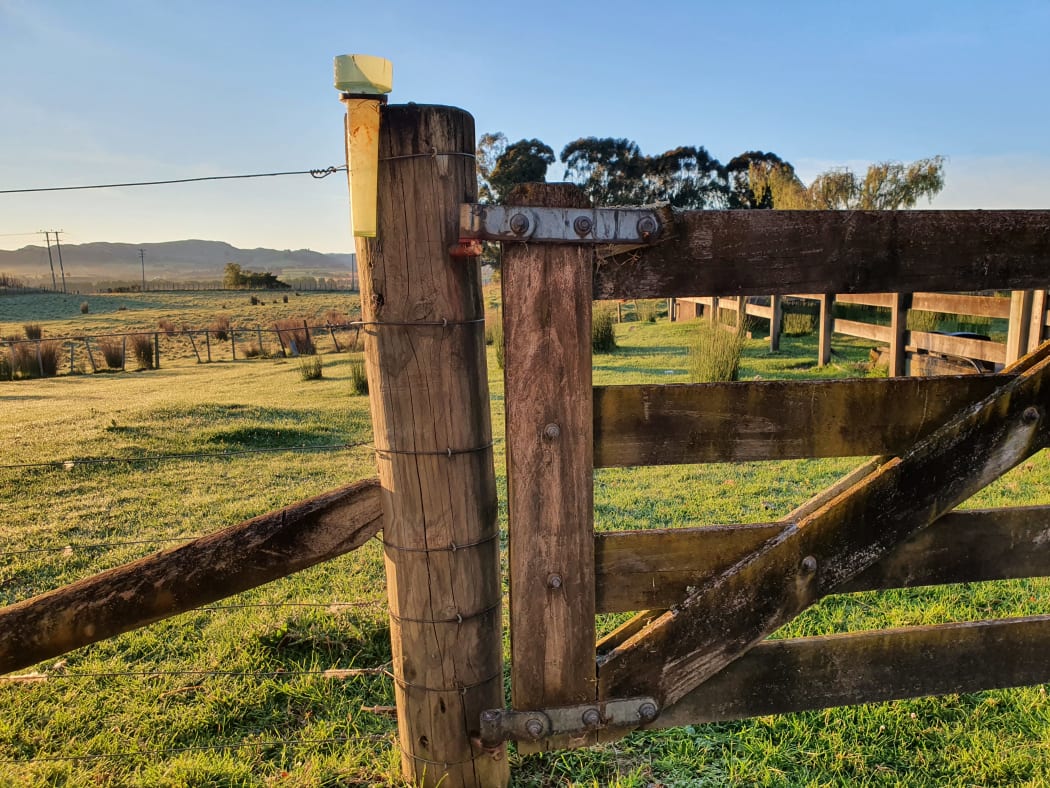 Rain gauge on a fence post