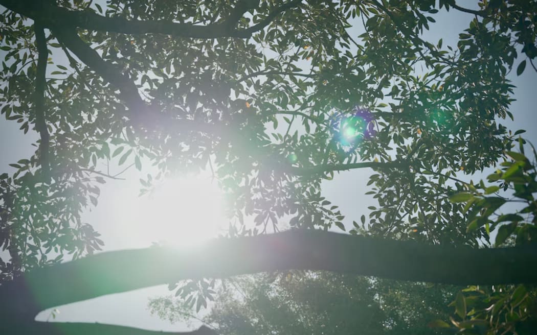 A hot and humid week lies ahead for much of south and south-east Queensland.