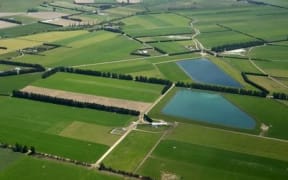 New Zealand farmland