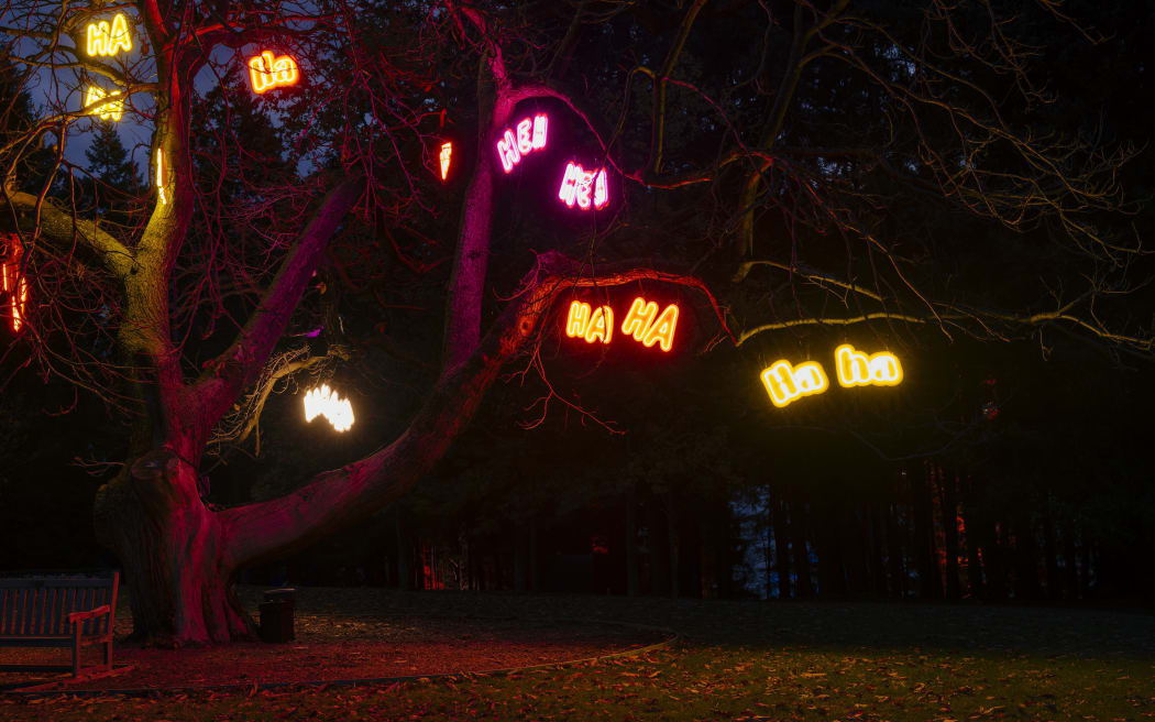 'Ha Ha's suspended in the Giggle Tree' by Hannah Walker.
