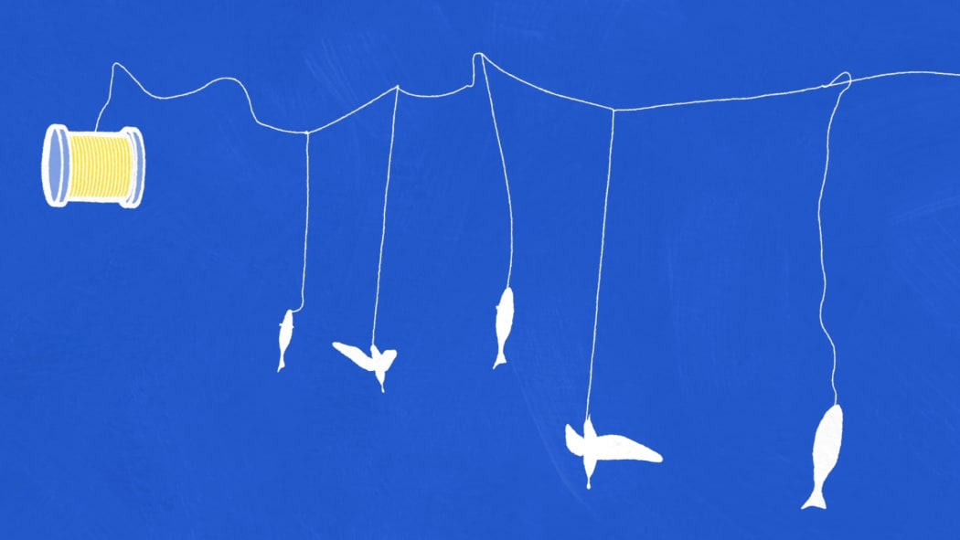 Still from RNZ animated video, Why It Matters How Your Fish Is Caught