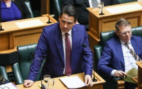 Leader of the National Party Simon Bridges