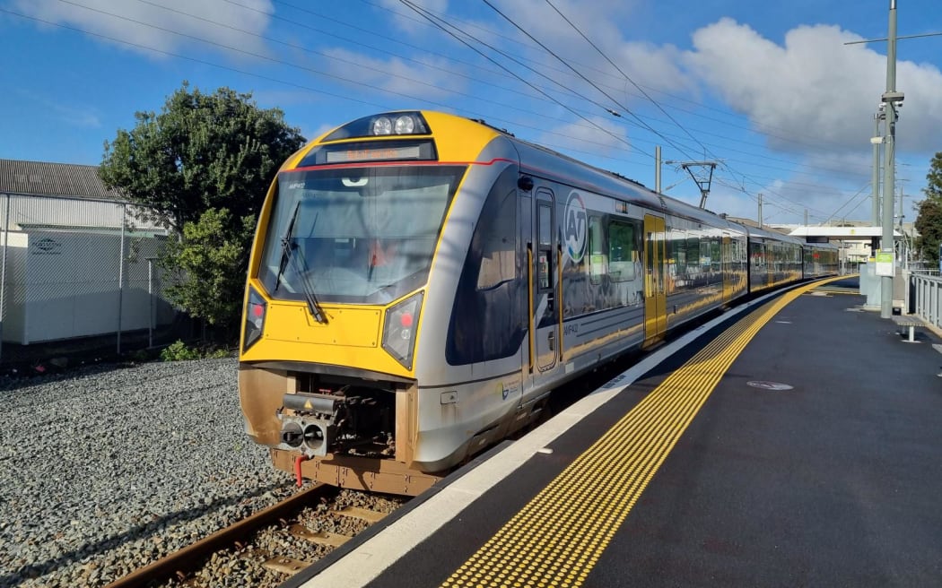 A train stands at Penrose station as services were suspended due to a large fire on James Fletcher Drive in South Auckland.