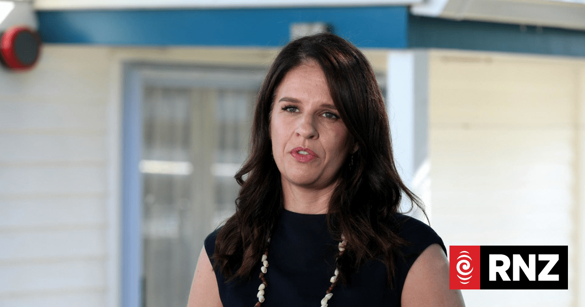 Education groups unite to oppose government's school curriculum overhaul