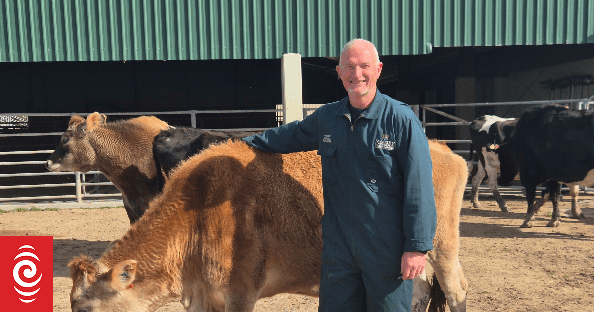 Country Life: Massey University's teaching farm