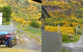 Images supplied by the council show gorse on Arnold's section, and beyond.