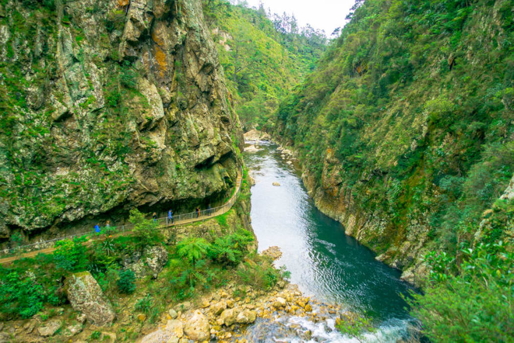 New Talisman Gold Mines has been prospecting at Karangahake Gorge (file photo).