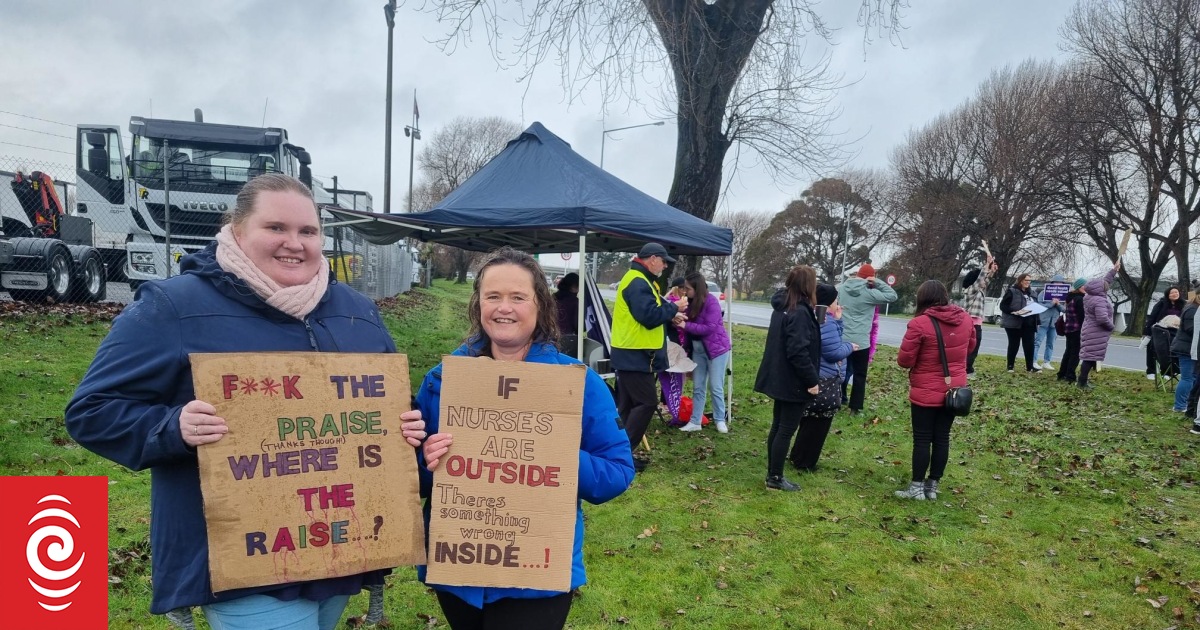 Unionised home support nurses strike for pay parity with Te Whatu Ora ...