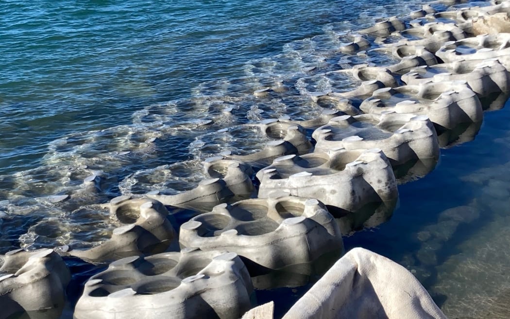 Three lines of artificial flower-shaped rocks where the "petals" are dips in the rock that can fill with water, lined up alongside the blue ocean.