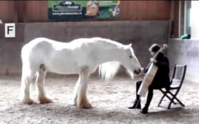 Cellist Ida Riegels playing to a horse in Switzerland
