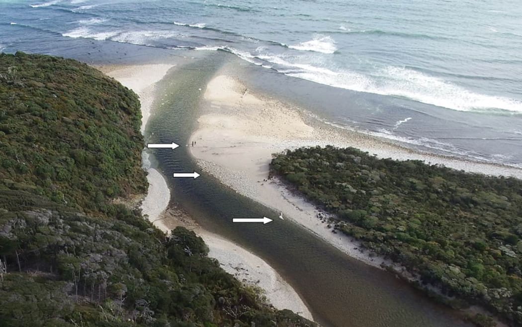 Approximate location of the whitebait nets at the mouth of the Waitutu River.