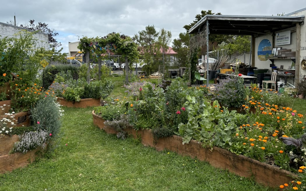 Garden beds bursting with veggie plants and flowers in front of a verandah covering work benches and gear.