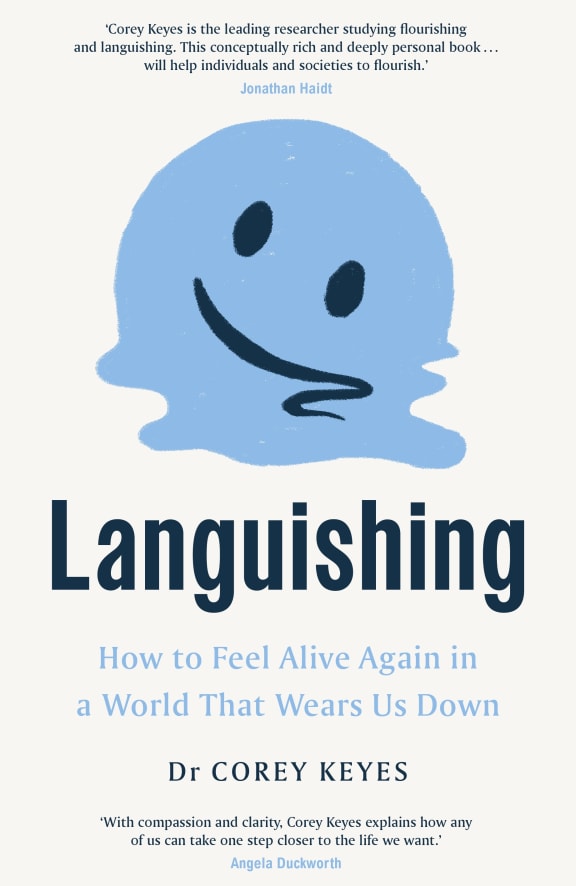 Languishing book cover