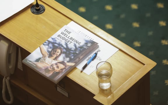 The 2019 budget in the debating chamber