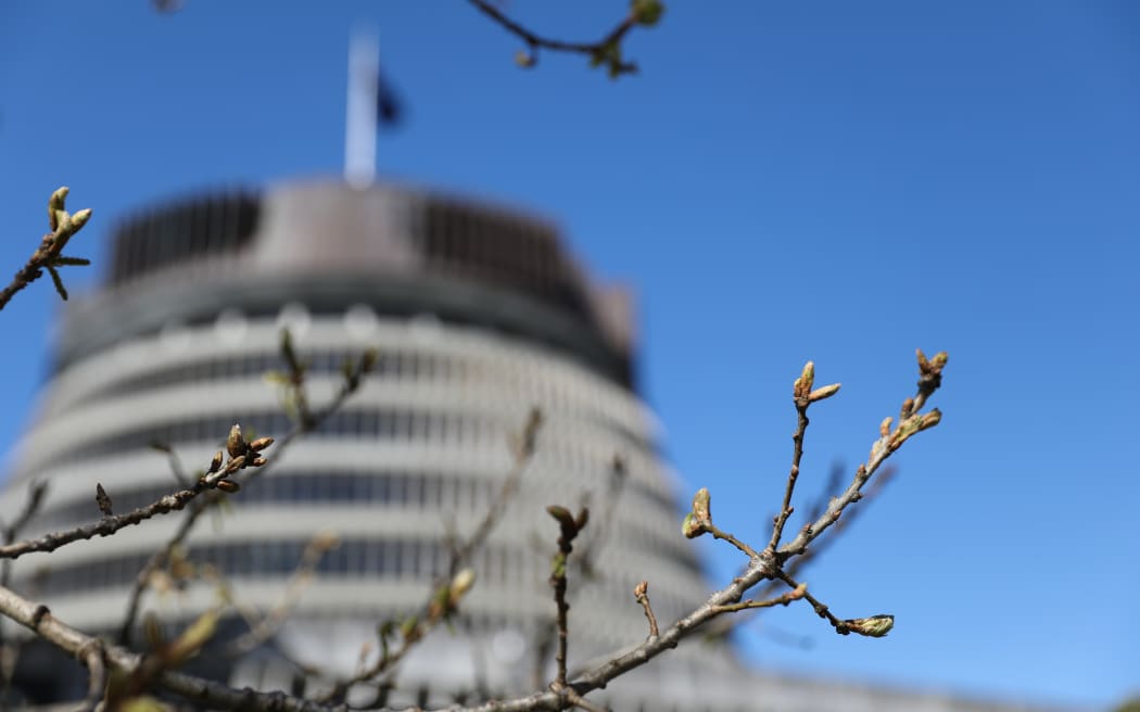 Spring at Parliament, where the oak trees feel a fresh flush of growth