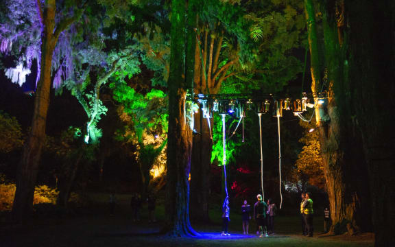 TSB Festival of Lights at Pukekura Park in New Plymouth.