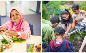 Garden to Table