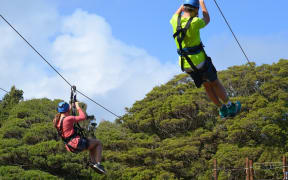 The proposal is for two zig-zagging flying-foxes
