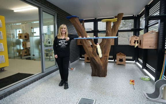 Pet Refuge founder Julie Chapman in one of the rooms at the new facility