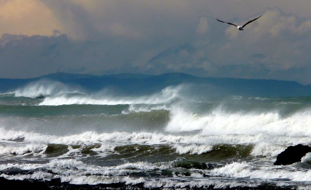 A stormy Spring day on Sumner Beach, Christchurch.