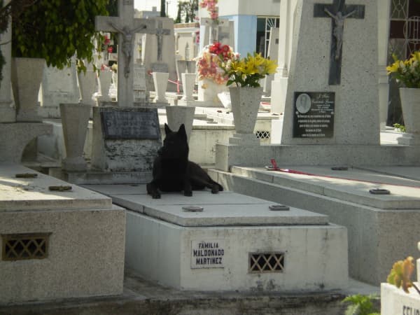 A tomb statue by the sculptress Niki de Saint Phalle in Montparnasse, Paris.