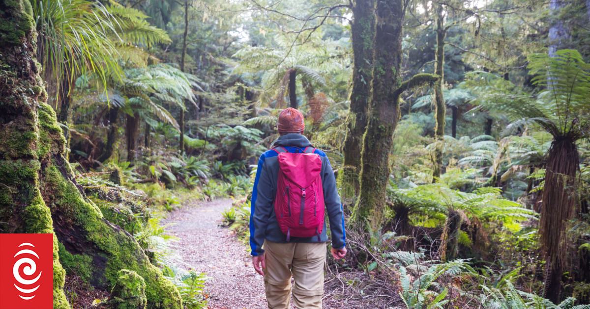 How to take a hike this summer while staying safe