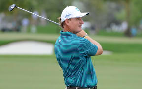 South African golfer Ernie Els.