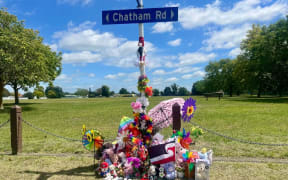 Flowers and items placed near the place Emma-Jane Sylvia Kupa was fatally injured when she was hit by a car, in Flaxmere, on 30 January, 2025.