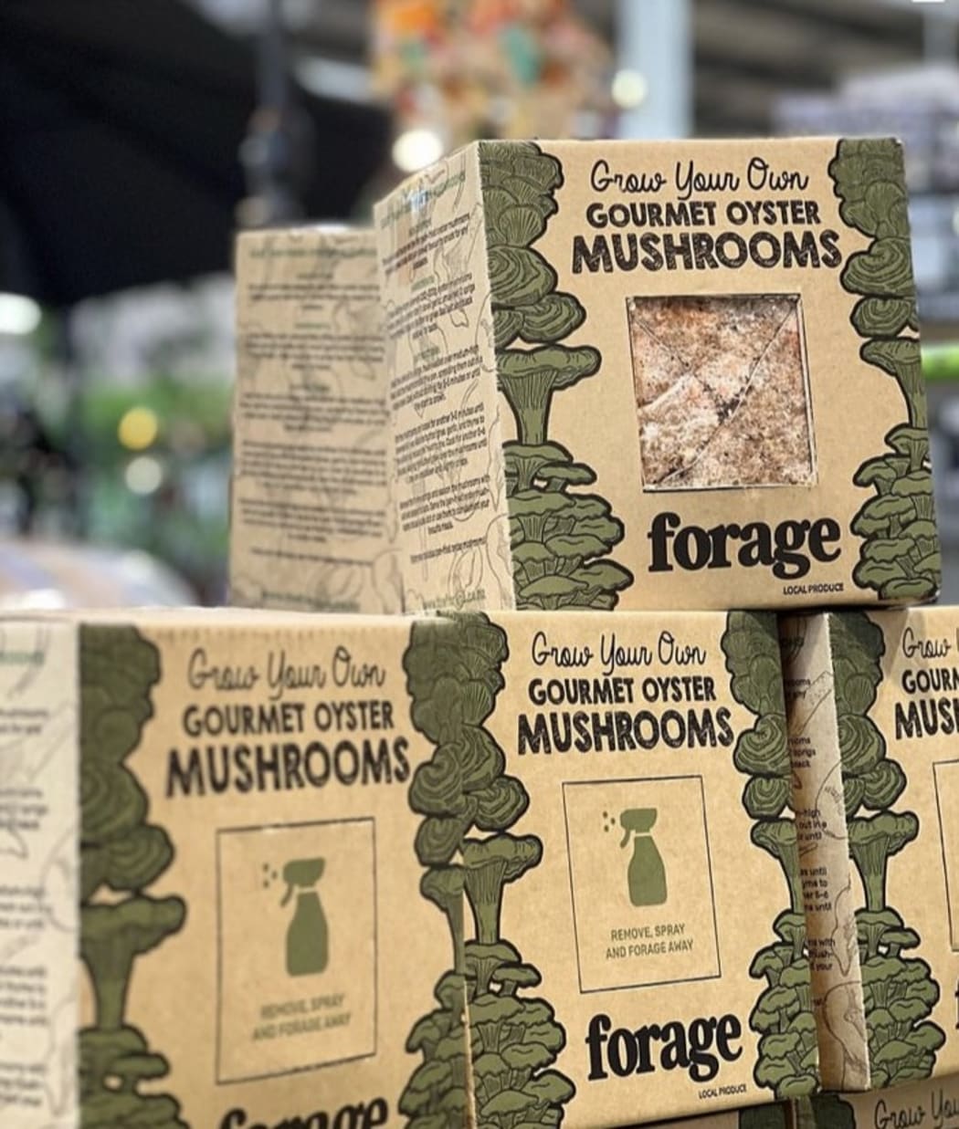 Forage grow your own gourmet oyster mushroom kits