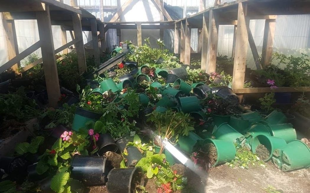 The plants in Khaled Al Jouja's greenhouse were strewn about in the attack. The plants in Khaled Al Jouja's greenhouse were strewn about in the attack.