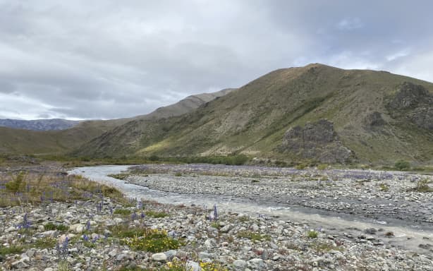 Molesworth Station.