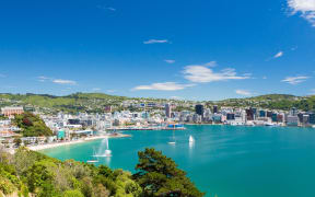 20931757 - view from mount victoria into the bay of wellington  capital city of new zealand