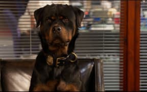 The scene being questioned involves lead character, police dog Max.
