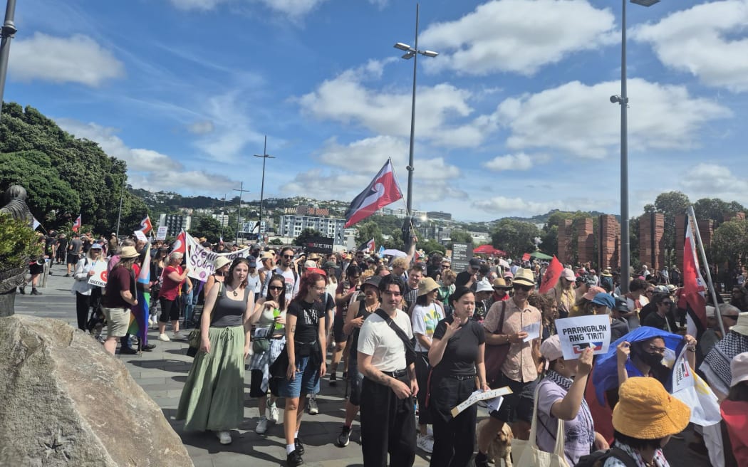 Waitangi hikoi