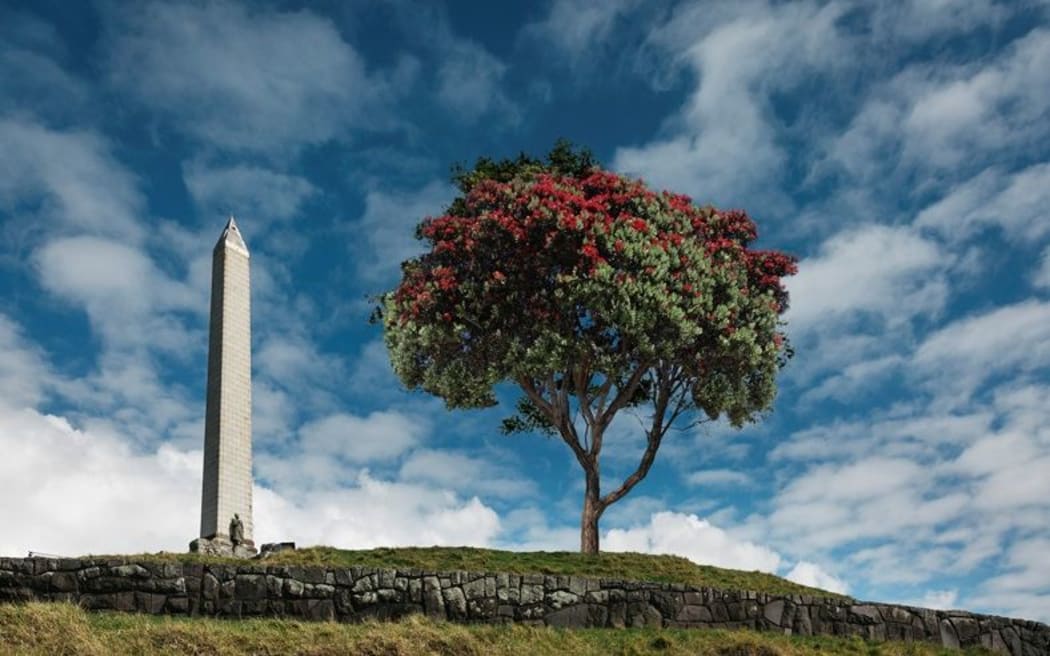 Within 20 years, a lone tree will stand again on Māungakiekie.