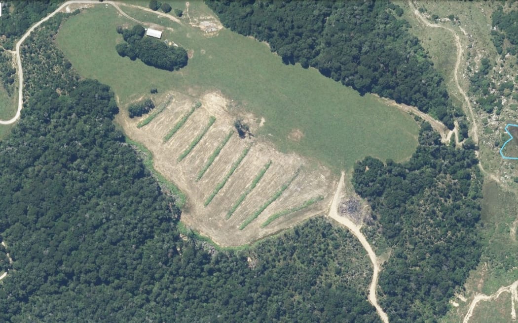 An aerial shot of the area where native bush was cut in the Maruia Valley at the top of the South Island.