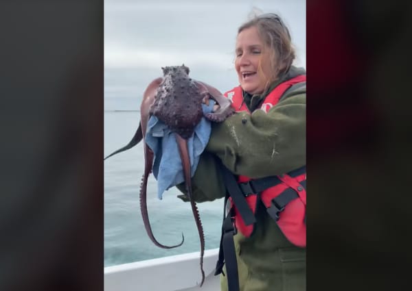 Terressa Kollat shows off a catch to viewers before putting him back in the sea. In her videos and foraging trips with visitors, she shares her knowledge about the life cycle of species and what people should and shouldn't be taking.