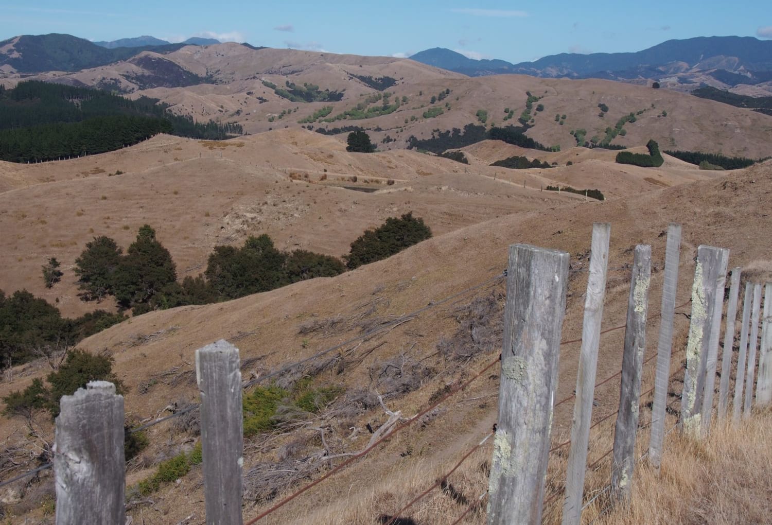 Dry Wairarapa hills