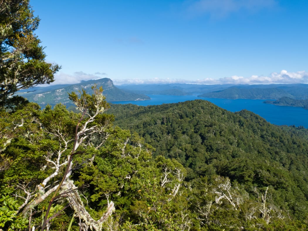 Te Urewera's Lake Waikaremoana.