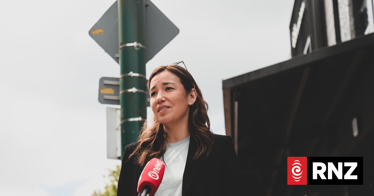 ‘Sense of responsibility’: Qiulae Wong on quest to become the first Asian leader of a political party in Parliament
