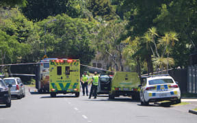 Emergency services at the scene of the crash on Gowing Drive in Auckland on 12 January 2019.