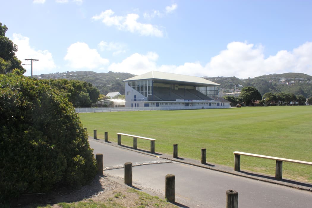Petone Recreation Ground, the site of the proposed stadium.