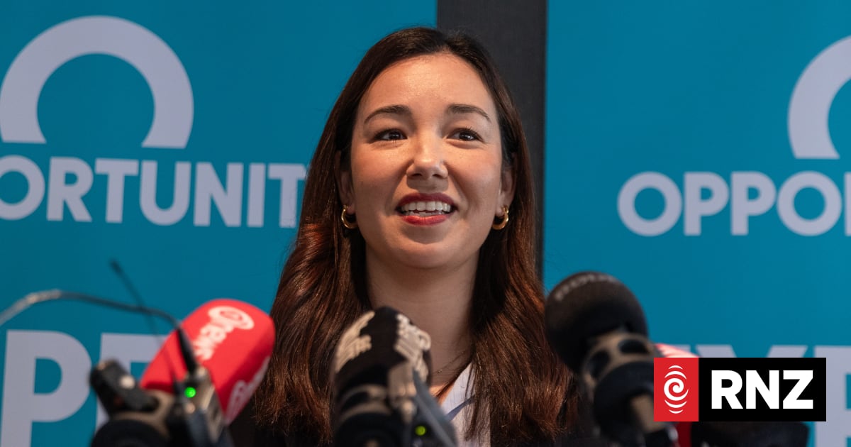 Opportunity Party vows to 'clean up politics' with lobbying and donations reforms