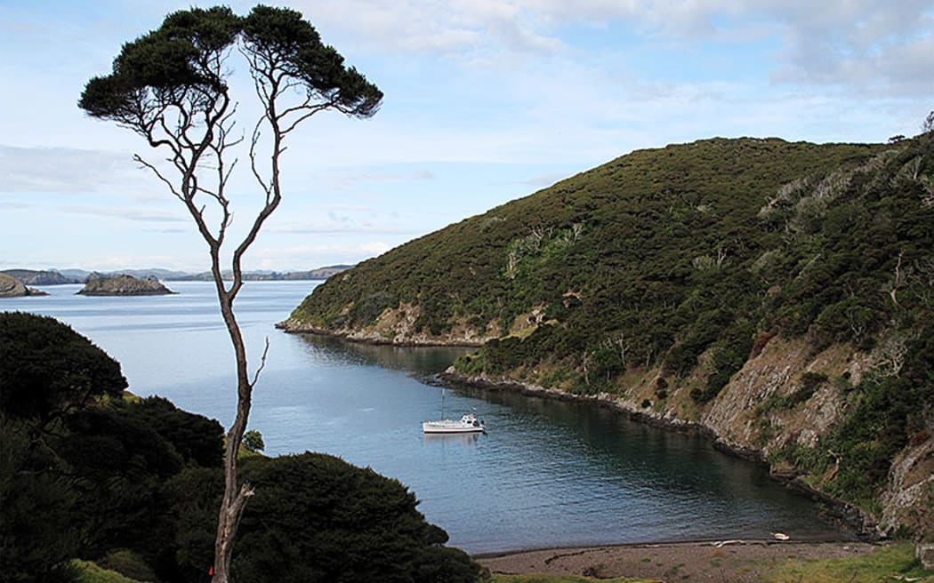 Deep Water Cove, in the Bay of Islands is an example of the success of a no-fishing rahui on the recovery of marine ecosystems