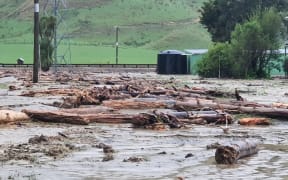 In Tairāwhiti, farmers near Tolaga Bay saw forestry slash and land damage from winds and heavy rain as a result of Cyclone Gabrielle.