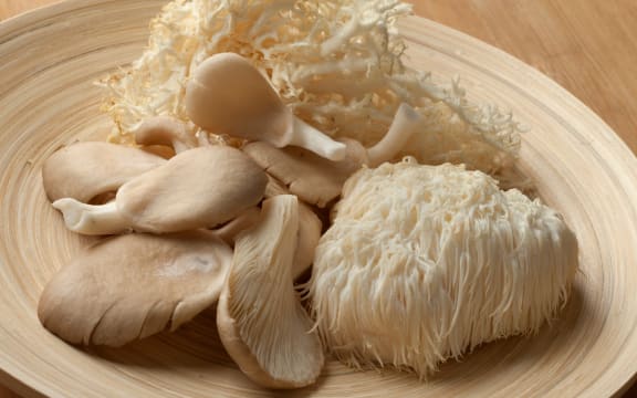 Bowl of assorted types of mushrooms