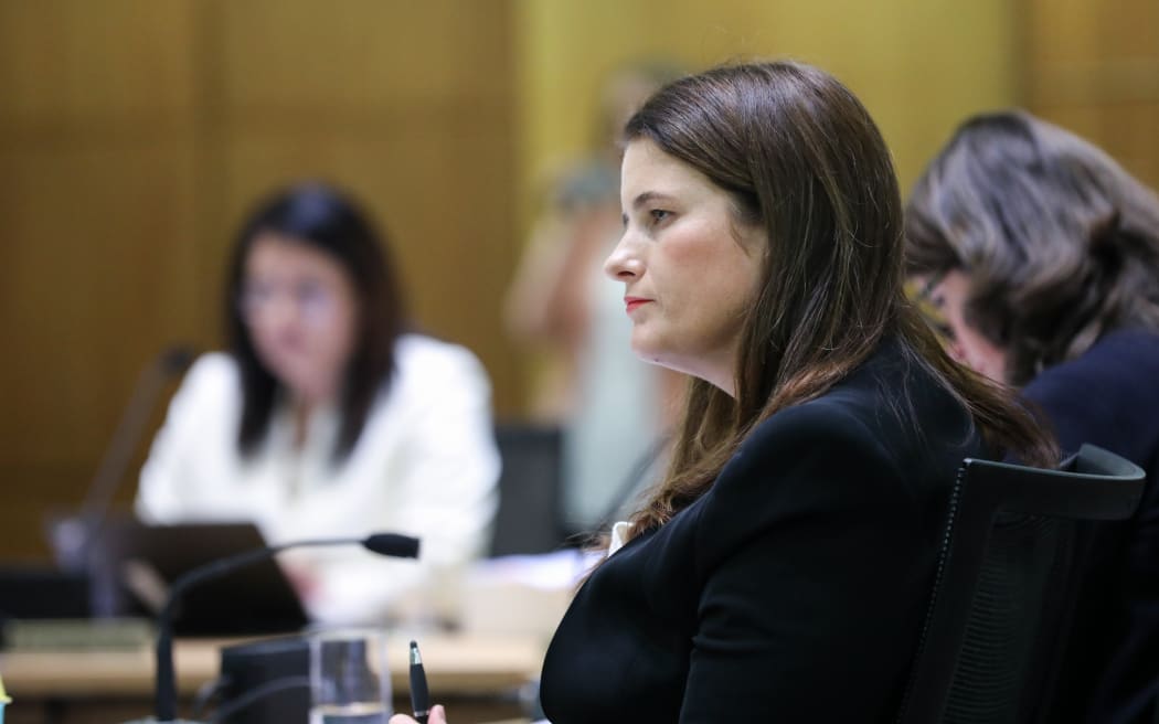 National MP Nicola Willis in Select Committee